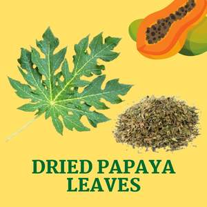Feuilles de papaye EXPAD, 100% matière végétale séchée, 500g - Product Image 5