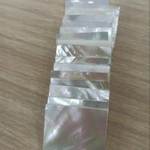 Mother of Pearl Pieces for Handicraft, <b>Ornament</b> and Gift Production - Product Image 1