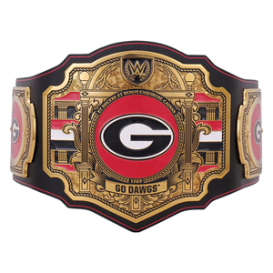 Ceinture de champion de lutte, plaque métallique de qualité supérieure, logo personnalisé, fournisseur en gros, ODM 2026 - Product Image 1