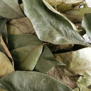 Feuilles de corossol biologique en vrac idéales pour les fabricants et distributeurs de tisane - Product Image 3