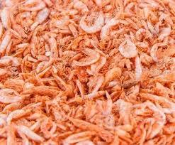CREVETTES SÉCHÉES DE QUALITÉ SUPÉRIEURE POUR LES ACHETEURS EN GROS - Product Image 6