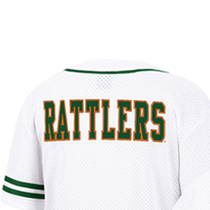 Uniforme de béisbol de la Universidad Florida A&M, camiseta de malla del equipo HBCU, logotipo personalizado, servicios OEM y ODM disponibles - Product Image 3