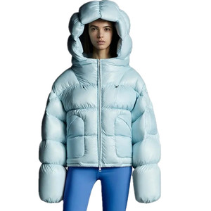 Women's High Quality Winter <b>Stand</b> Collar Puffer Jacket Breathable Nylon Heated Cotton Coat Lining Custom Logo Print Solid Silk - Product Image 1