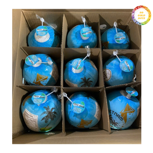 มะพร้าวอ่อนมะพร้าวส่งออกแบบมาตรฐานสำหรับซื้อจำนวนมากขายปลีกและตลาดนำเข้า - Product Image 6