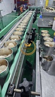 OEM vietnamien ODM emballé en conserve litchi fruits de haute qualité Lichi conservé fraîcheur pour iceream ou boire