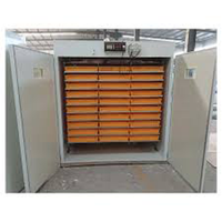 Incubateur à œufs Yingbo IN2509 de type nouveau, écran LED, contrôle automatique de la température, acier inoxydable 304, 200 kg, 1 an de garantie