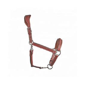 Excellent Quality - Argentinian Cow Leather - Traditional Hand Stitched - Polo Leather Horse <b>Halter</b> - Product Image 3