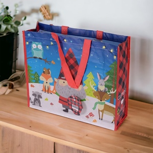 ราคาดี คุณภาพเยี่ยม สำหรับถุงช้อปปิ้ง PP - Product Image 3