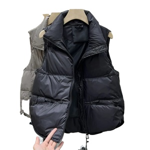 Chaleco de plumón transpirable para mujer 2024 con cuello levantado, chaleco de algodón estampado, chaqueta de moda con forro de viscosa - Product Image 5