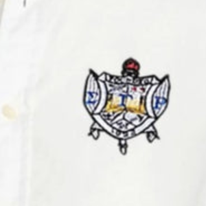เสื้อเชิ้ตแขนยาว SGRHO แบบสั่งทำพิเศษ สำหรับสตรี ชมรมพี่น้องกรีก Sigma Gamma Rho ปกคอเสื้อพับได้ ผ้าโพลีเอสเตอร์ สีพื้น เหมาะสำหรับใส่ลำลองในฤดูร้อน - Product Image 6
