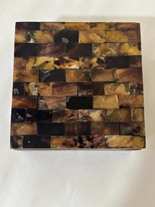 Nueva Caja de Almacenamiento de Joyas Ecológica de Cuerno de Búfalo Rústico Pulido con Interior Suave para Artículos Delicados, Diseño Animal Feng Shui - Product Image 3
