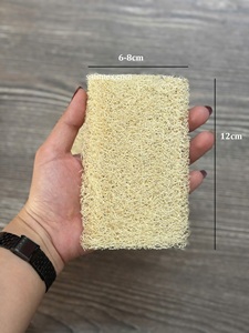 Éponge exfoliante en loofah bio 10-12cm, emballage personnalisé, provenant d'un fournisseur de loofah naturel du Vietnam. - Product Image 3