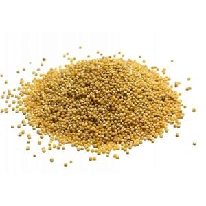 Millet jaune naturel en vrac – Millet jaune de haute qualité pour la transformation alimentaire premium et les produits santé - Product Image 1