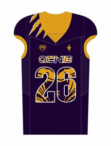 Nuevos Uniformes Personalizados con Serigrafía del Nombre del Equipo para Adultos a Bajo Precio, Nuevos Uniformes Personalizados de Fútbol Americano - Product Image 4