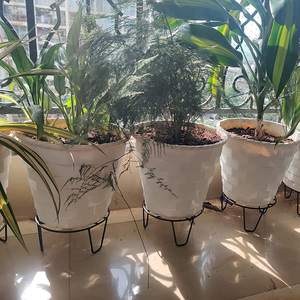 Support de pot de fleurs en métal noir, pieds ronds robustes, support pour plante (20 cm, lot de 8), support décoratif pour pot de fleurs d'intérieur - Product Image 5