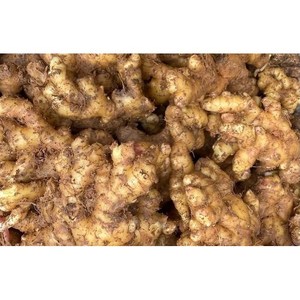SHAMPOOING AU GINGEMBRE FRAÎCHE 500ML VIETNAM |   SOINS DU CHEVEU ET DU CUIR CHEVEULEUX AU GINGEME - Product Image 3