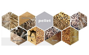 Alimento para Animales Viet Delta Holiday-Agro Waste Feed 1, Bioprocreso a partir de Bioproducciones Agrícolas - Product Image 2