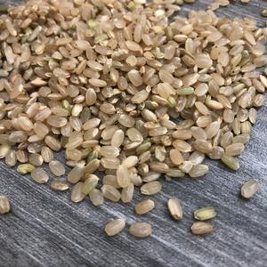 Arroz Integral de Grano Largo de Vietnam, Nueva Cosecha, Alta Calidad, 100% Natural, 5% de Grano Partido, Seco, Bien Molido, Textura Suave. Contacto +84398885178 - Product Image 2