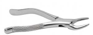 Forceps d'extraction dentaire en acier inoxydable chromé avec poignées texturées et pointes dentelées - Product Image 2