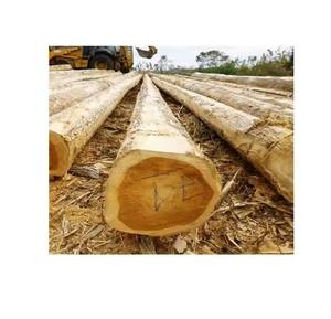 Troncos de Madera de Teca Redondos, Madera de Primera Calidad, 32 m de Diámetro, Tanzania - Product Image 2