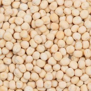 Pois blancs séchés de qualité supérieure, emballage en vrac avec livraison rapide pour les distributeurs et les détaillants - Product Image 3