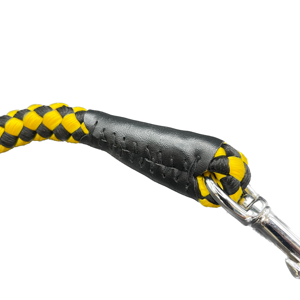 correa personalizada para perro - Product Image 4