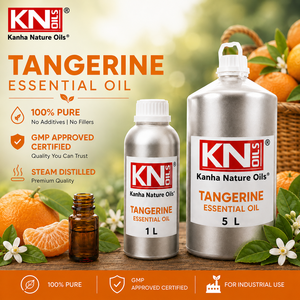 Tangerine Essential Oil Citrus Reticulata Peel 100% Pure Steam Distilled Organic Certified Bulk Manufacturer Global Exporter - Product Image 2