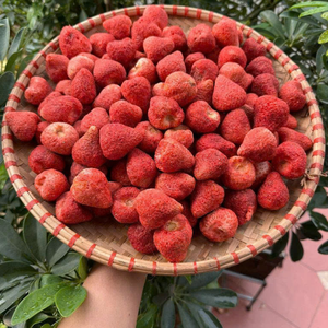 สตรอว์เบอร์รีอบแห้งทั้งลูก รสหวานธรรมชาติ กรอบอร่อย สำหรับการผลิตอาหารและการค้าปลีก - Product Image 2
