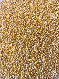 Agri Grade Export Quality Dried Bulk Split Moong Dal for Making Comforting Soups and Healthy Snacks - Product Image 3