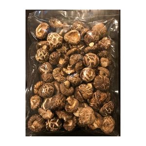 AVAILABLE Vacuum Fried Shiitake <b>Mushroom</b> For Practical Crispy Snack Serving And Commercial Catering Supply Boxes - Product Image 2