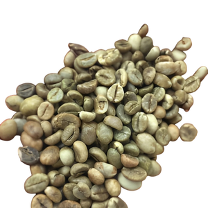 Vietnamese <b>Robusta</b> Green <b>Coffee</b> <b>Beans</b> AA Grade Semi Washed Process Raw Unroasted For Roasting - Product Image 1