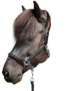 Halter de caballo de cuero de oveja blanco y negro con relleno ligero y accesorios de latón Halter de caballo de frotamiento internacional - Product Image 4