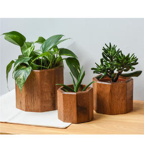 Macetas de Madera Minimalistas para Interiores, Nueva Llegada, Macetas Decorativas de Madera para Jardinería Interior - Product Image 5