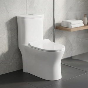 WC monobloc en céramique à profil carré moderne avec système de chasse d'eau siphonique pour une infrastructure sanitaire haut de gamme - Product Image 4