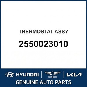Termostatos y Carcasas Nuevas Accent 2550023010 - Product Image 1