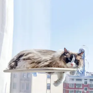 Hete Verkopende Kat Hangmat Raam Afneembare En Wasbare Kat Hangmat Bedden Schattige Hangmat Opknoping Bedden Voor Katten