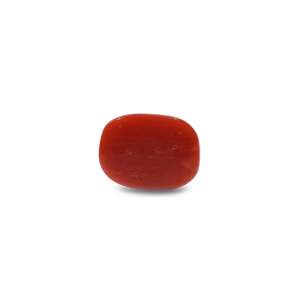 Natural Red Coral Oval Cabochon Loose Gemstone 9.6 Carat Certified Wholesale - Product Image 2