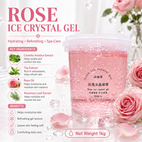 Série de Soins Réparateurs Hydratants pour la Peau : Gel Cristal Réducteur de Rougeurs Post-Soleil à l'Acide Hyaluronique pour l'Élimination des Cicatrices