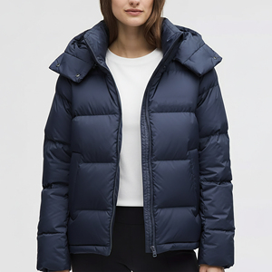 Veste d'hiver courte et brillante à capuche, style streetwear personnalisé, avec fermeture éclair classique, pour femme, en duvet et tricoté, en promotion - Product Image 3