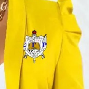 เสื้อแจ็คเก็ตสูททรงพลีทแขนยาวแฟชั่น Sigma Gamma Rho แบบลำลองสั่งทำได้ ดีไซน์พลีททันสมัย เสื้อคลุมผู้หญิง OEM ODM - Product Image 5