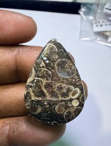 Pierre précieuse en jaspe TURTELLA 100 % naturelle de haute qualité, cabochon, pierre brute pour la guérison, jaspe en gros pour la fabrication de bijoux - Product Image 2