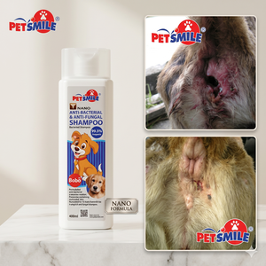 Produits de toilettage 1:1, fournitures de toilettage pour animaux, produits pour animaux de compagnie, shampoing antibactérien pour chiens et chats, shampoing pour chiots - Product Image 2