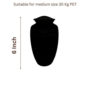 Urna Blanca de Estilo Americano Grabada a Mano de Alta Calidad LU, para Cenizas de Adultos, Capacidad de 200 Pulgadas Cúbicas, Fabricada en Latón Pulido Color Estaño 1 - Product Image 5