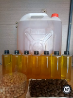 Minyak Sacha Inchi Kuning Muda Berkualitas Tinggi Ekstrak Plukenetia Volubilis Minyak Pembawa Tanpa Pemurnian untuk Serum Pijat Tubuh Grosir 16oz 1L