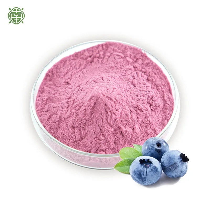 NQ Health Factory Supply 10: 1 20: 1 30: 1 Blueberry Extract Stress Reduction Mood Enhancement Cholesterol Regulation