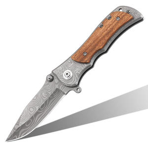 Couteau pliant Vanguard Edge avec lame en acier fin, design compact et ouverture fluide pour une utilisation quotidienne - Product Image 2
