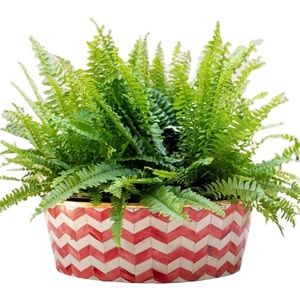 Handmade xương Inlay Bình hoa trang trí Home Accent cho phòng khách bàn và lối vào hiển thị bảng Top cổng hoa - Product Image 1