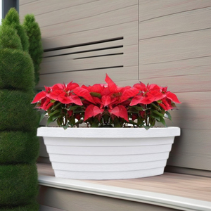 Macetas en forma de barco Macetas de jardín únicas y llamativas - Product Image 6