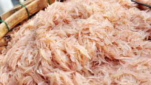 CAMARONES BLANCOS EN OFERTA, Mariscos Limpios Secados al Sol, Refuerzan el Sistema Inmunitario, Bolsa al Vacío de 1 kg - Product Image 5