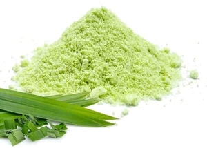 Poudre de feuilles de Pandan hautement concentrée, agent aromatisant naturel pour la confiserie - Product Image 2